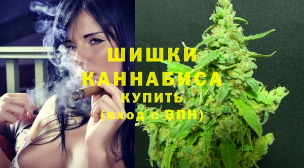 сатива Белоозёрский