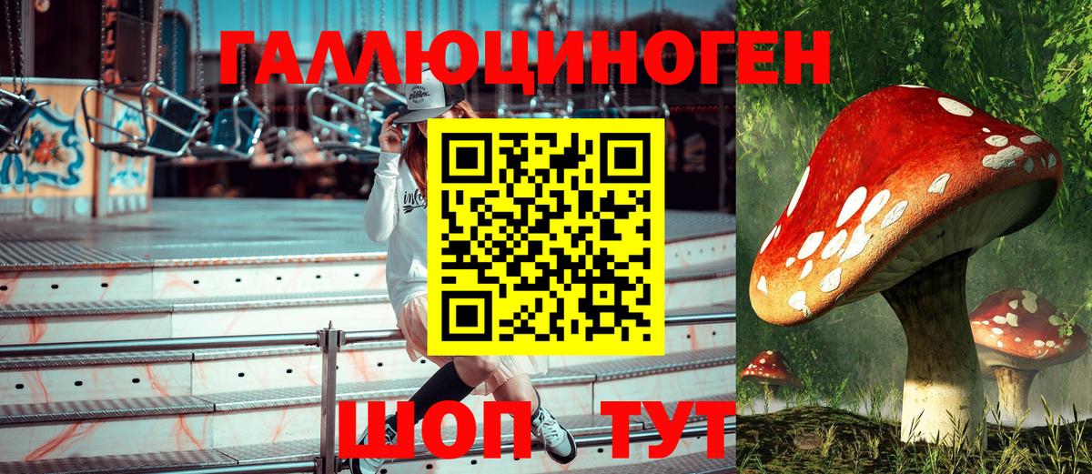 Галлюциногенные грибы мухоморы  продажа наркотиков  Галлюциногенные грибы GOLDEN TEACHER  Саяногорск  Вход с VPN 
